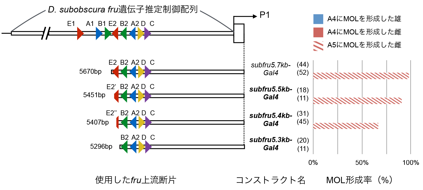 260714_Journal of Neurogenetics.jpg